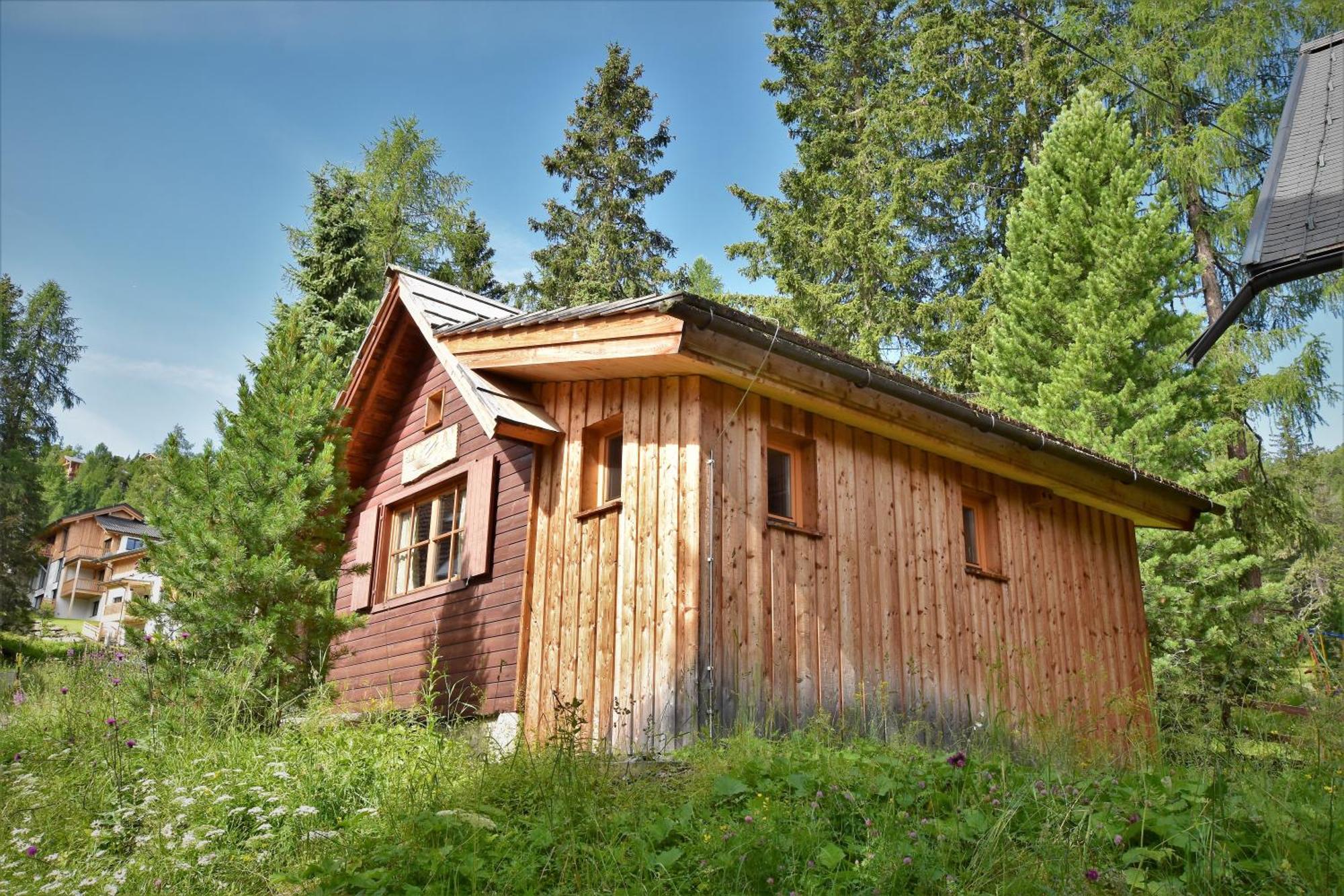 Zirbenwald Ferienhaus *